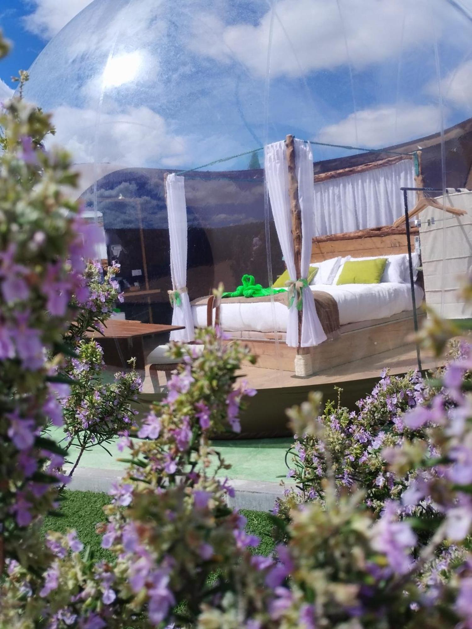 Cosmoveros - Hotel Burbuja Pedraza ภายนอก รูปภาพ