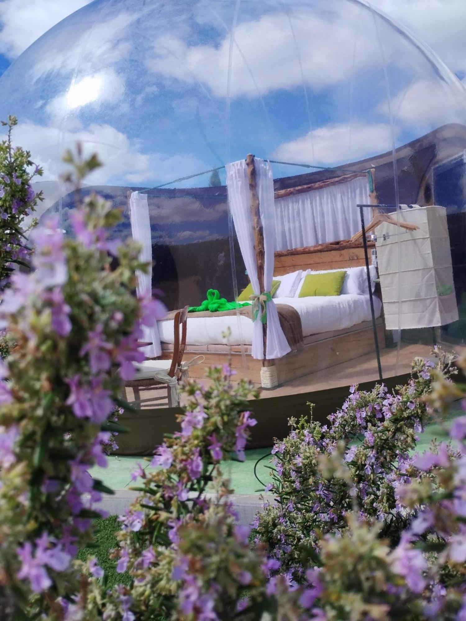Cosmoveros - Hotel Burbuja Pedraza ภายนอก รูปภาพ